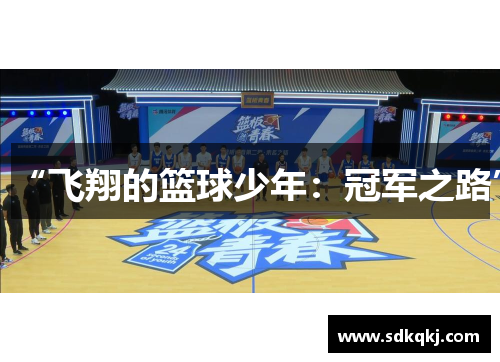 “飞翔的篮球少年：冠军之路”